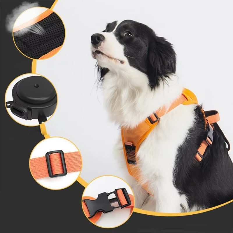 FlexiLeash™ – sicher und einfach führen